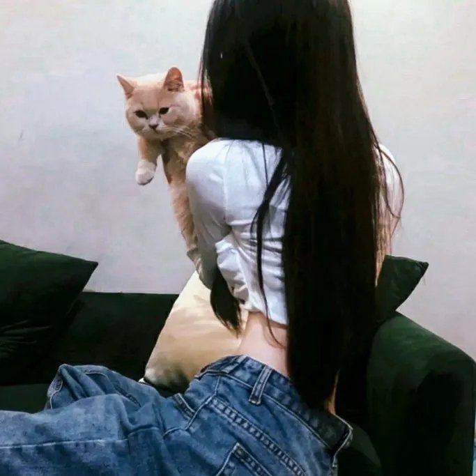 荣耀乒乓
